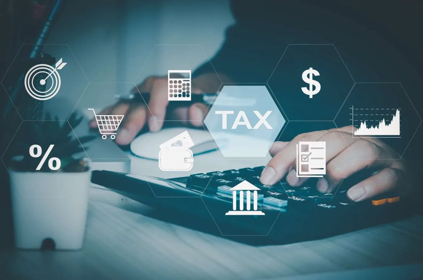 Best Supplier Platform in UAE Guide for Businesses